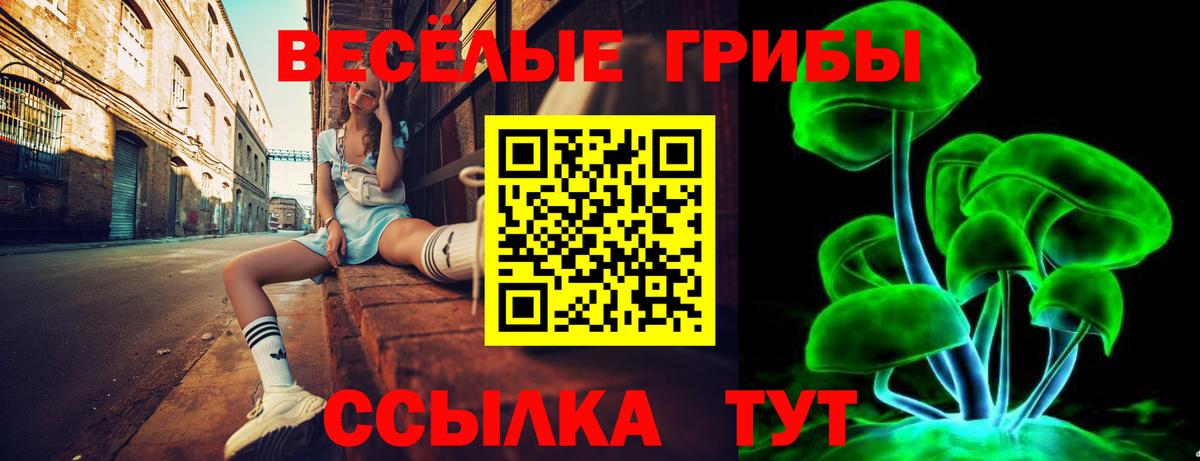Галлюциногенные грибы мухоморы  Вход с VPN  Новороссийск 