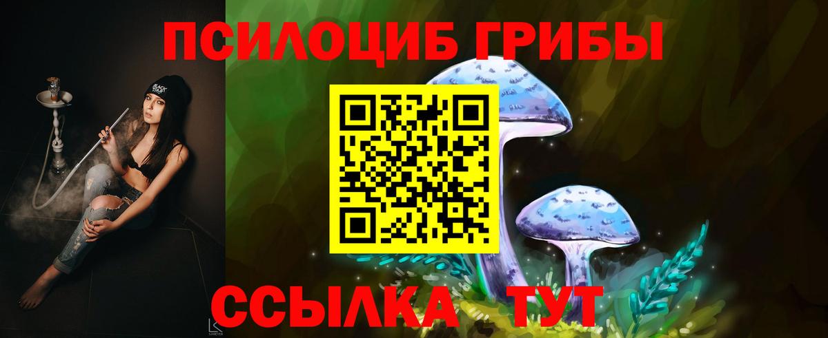 Псилоцибиновые грибы GOLDEN TEACHER Новороссийск